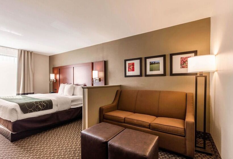 Люкс, Comfort Suites Tuscaloosa Near University