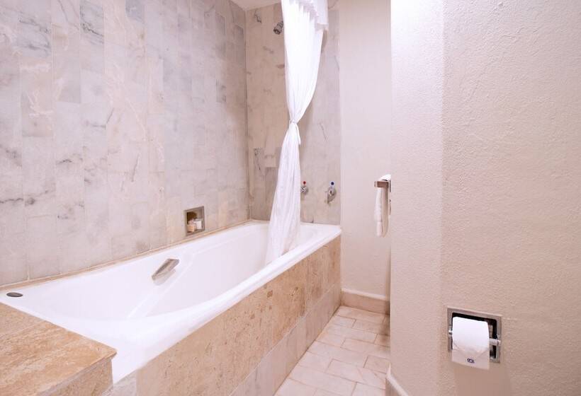 Люкс, Plaza Pelicanos Club Beach Resort All Inclusive