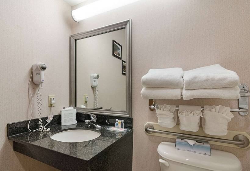 Люкс, Quality Suites Springdale West I 49