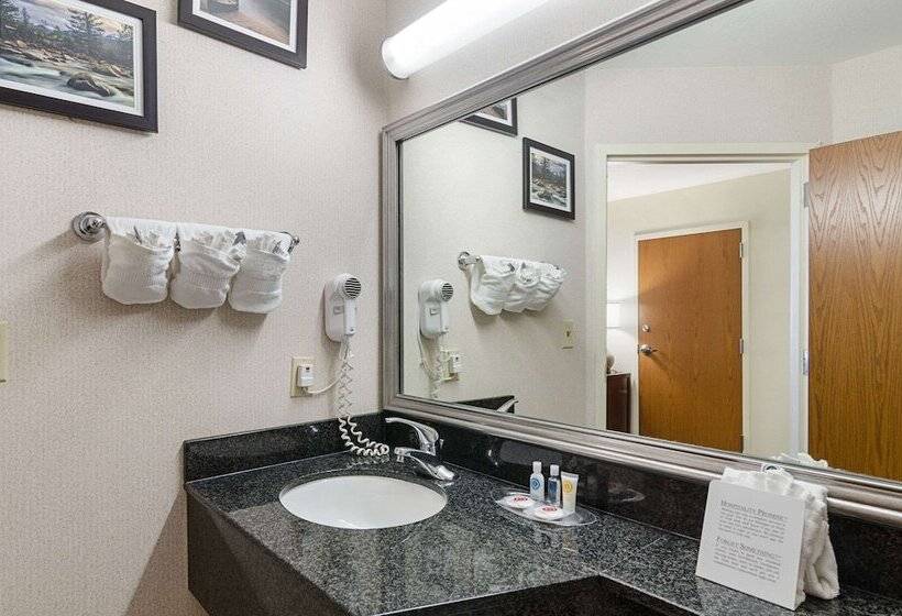 Люкс, Quality Suites Springdale West I 49