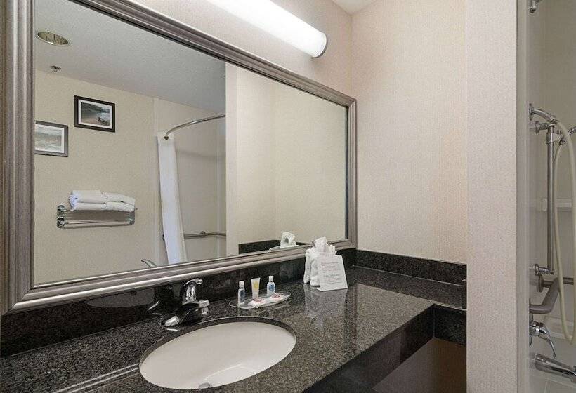 Люкс Адаптированный для Инвалидов, Quality Suites Springdale West I 49