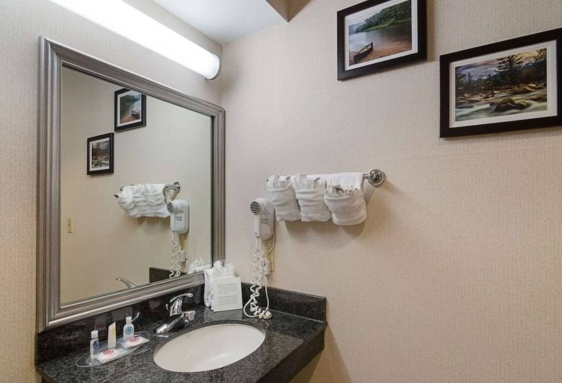 Люкс Адаптированный для Инвалидов, Quality Suites Springdale West I 49