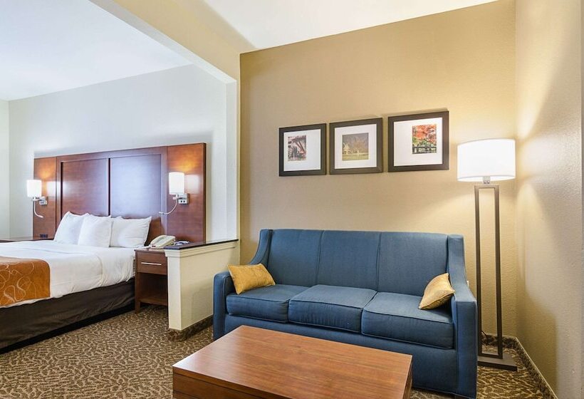 Люкс, Quality Suites Springdale West I 49