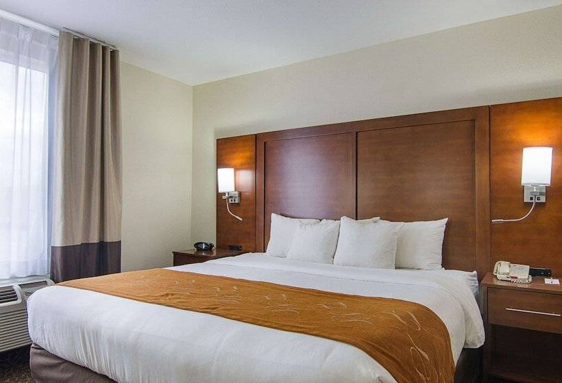 适合残疾人士使用的套间, Quality Suites Springdale West I 49