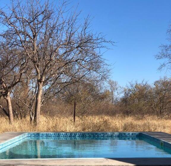 Номер бизнес-класса, Simba Safaris African Pride Exotic Lodge