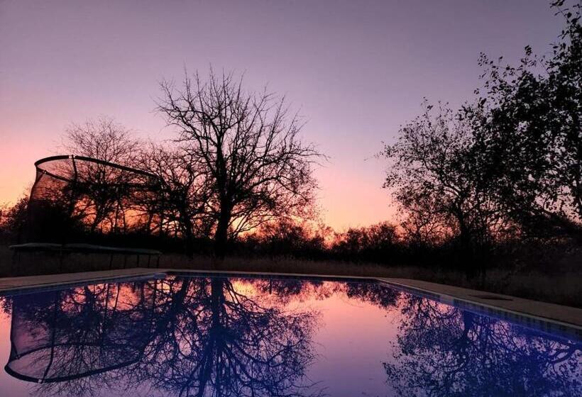 Номер бизнес-класса, Simba Safaris African Pride Exotic Lodge