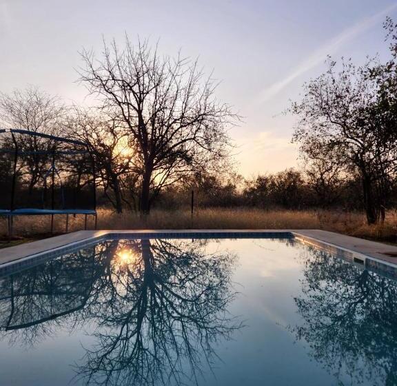 Шале Superior 1 Спальня, Simba Safaris African Pride Exotic Lodge