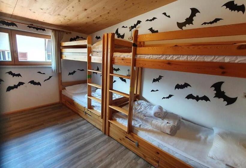 Кровать в Общей Комнате, Alpking Hostel