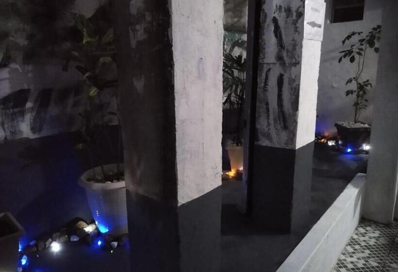 سوییت خانوادگی, Shark Tubarao Suites Central Area