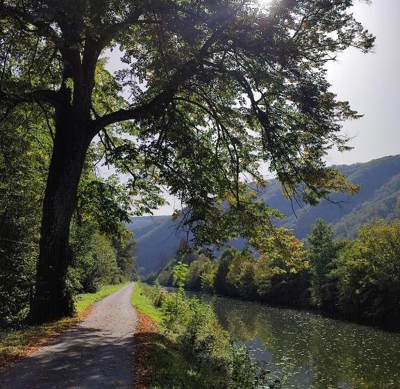 Номер Стандарт, Entre Meuse Et Forêt
