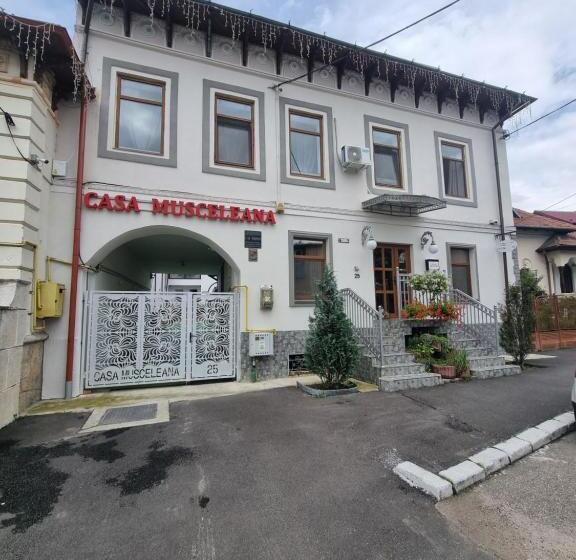 اتاق سوپریور با تخت بزرگ, Casa Musceleana
