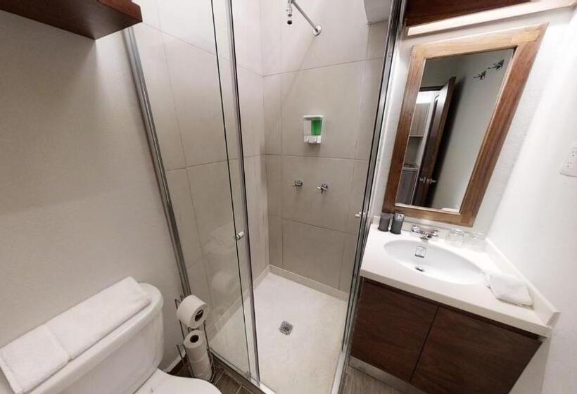 Estudio Estándar Cama King, Tokio Suites