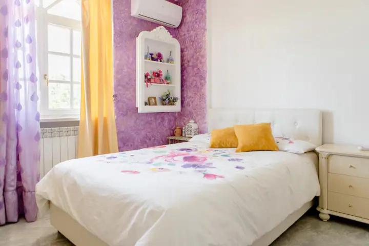 标准间, Alexander S Home