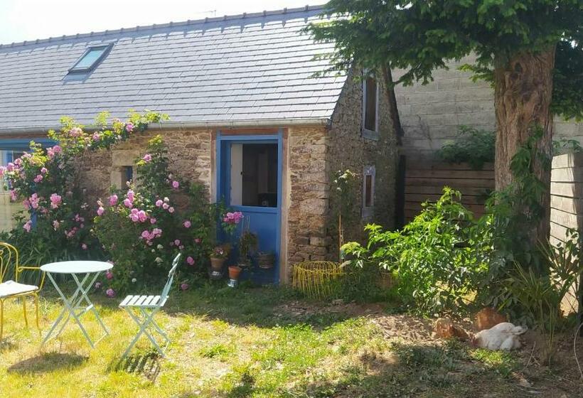 Номер Стандарт, Ker Anahid   L Atelier