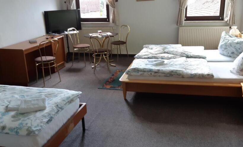 Номер Стандарт, Pension Hirsch/schwan