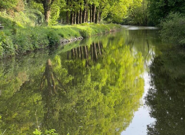 Люкс Повышенной Комфортности, Central Brittany B And B