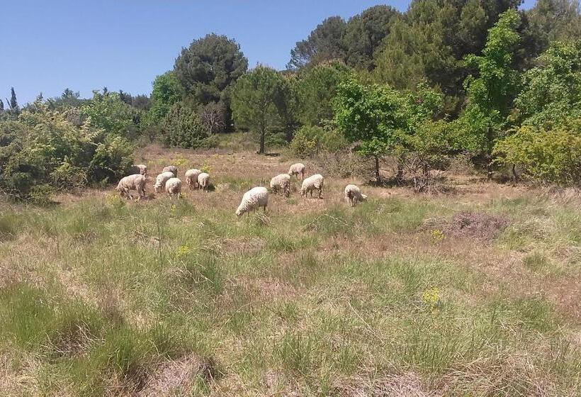 Номер Стандарт, Une Chambre En Luberon
