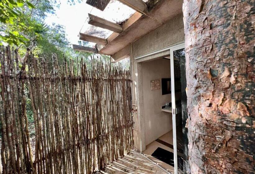 豪华房间, El Encanto   Hotel Boutique