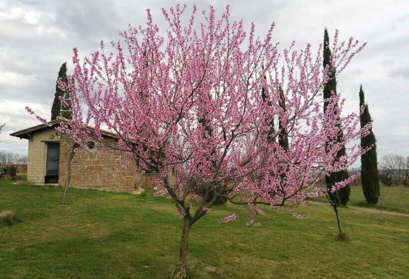 Апартаменты 1 Спальня Вид на Сад, Agriturismo Podere Bianca Maria