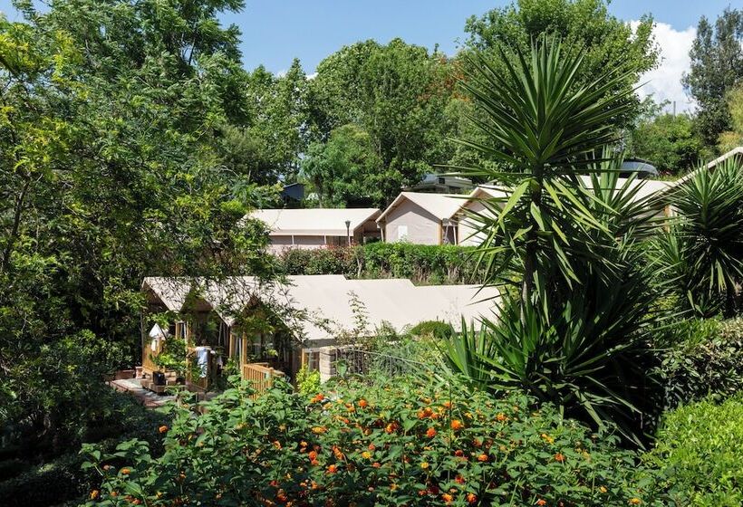 چادر با خدمات رفاهی استاندارد, Hu Roma Camping In Town