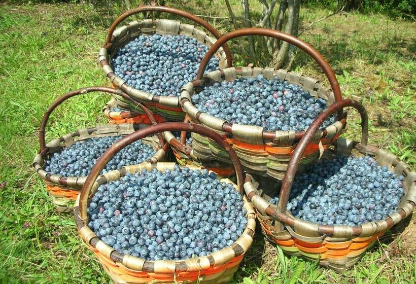 豪华房间, Domaine Xixtaberri
