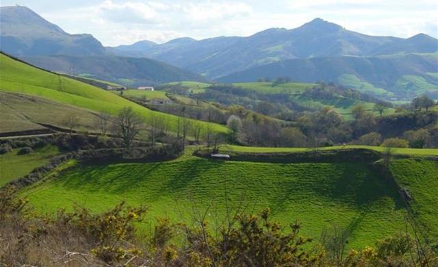 豪华三人间, Domaine Xixtaberri