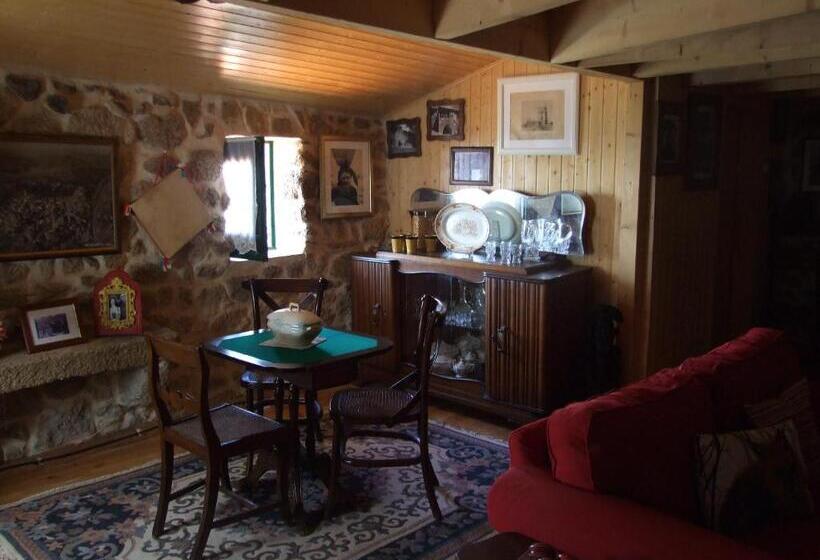 خانه 1 خوابه, Old House