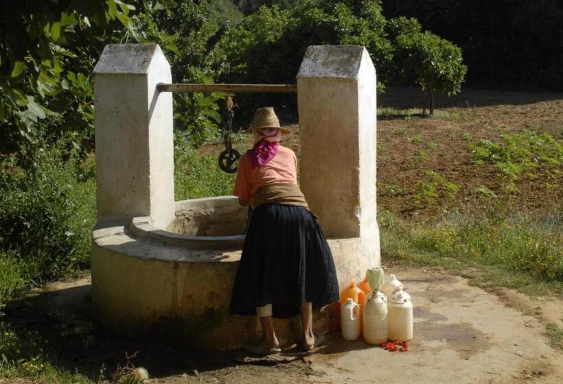 اتاق استاندارد, Darmimouna
