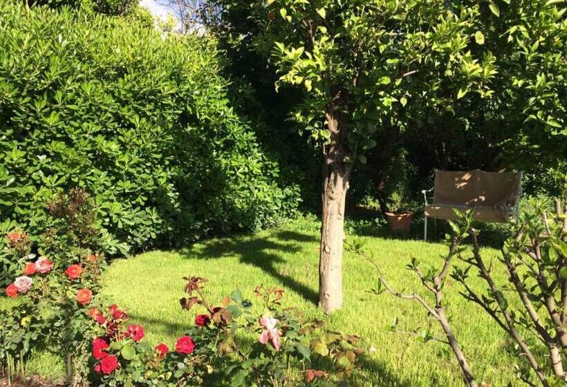 Апартаменты 1 Спальня Вид на Сад, Baia Della Serenità