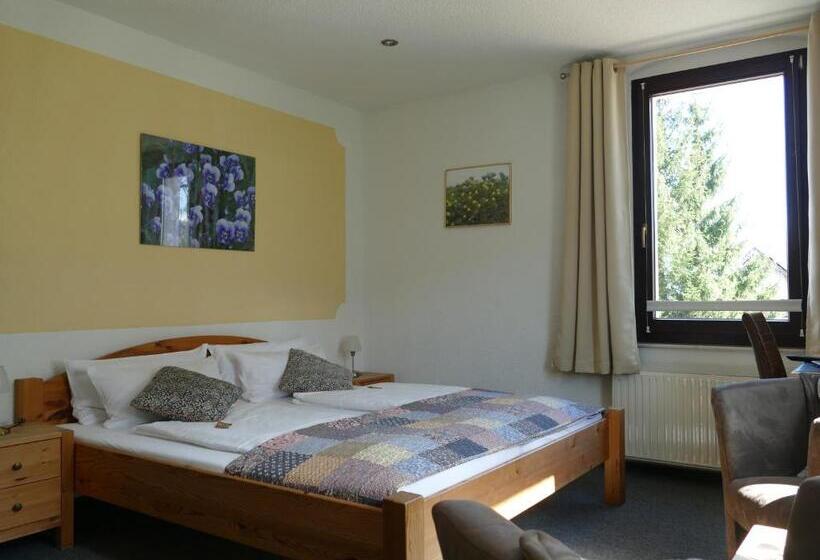 Номер Стандарт, „frische Quelle“ Jonsdorf