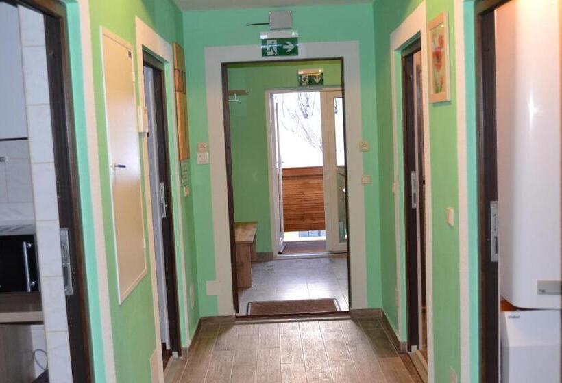 Люкс 3 Спальни, Apartment Holiday Lungötz