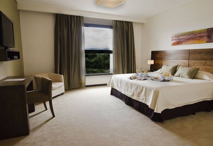 标准间, Fuente Mayor Hotel & Casino