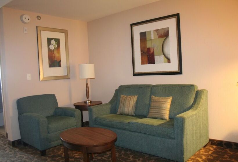 小型套房, Hilton Garden Inn Charlotte/concord