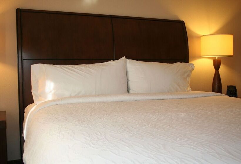 适合残疾人士使用的套间, Hilton Garden Inn Charlotte/concord
