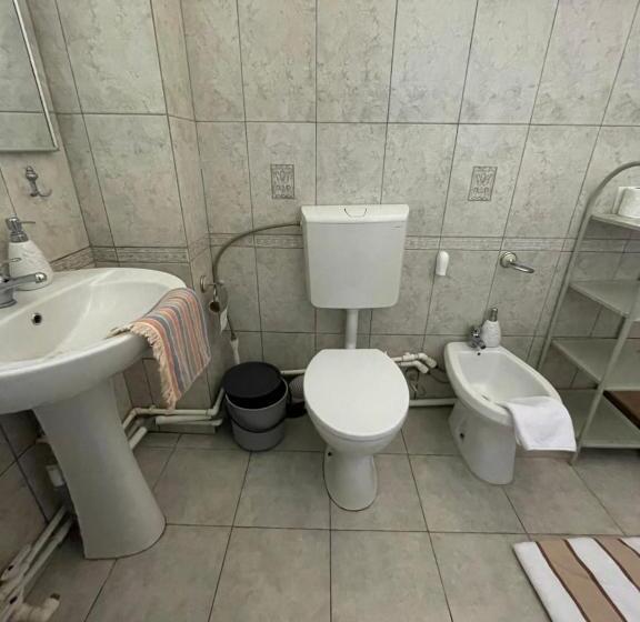 Апартаменты 2 Спальни, Casa Trandafirilor