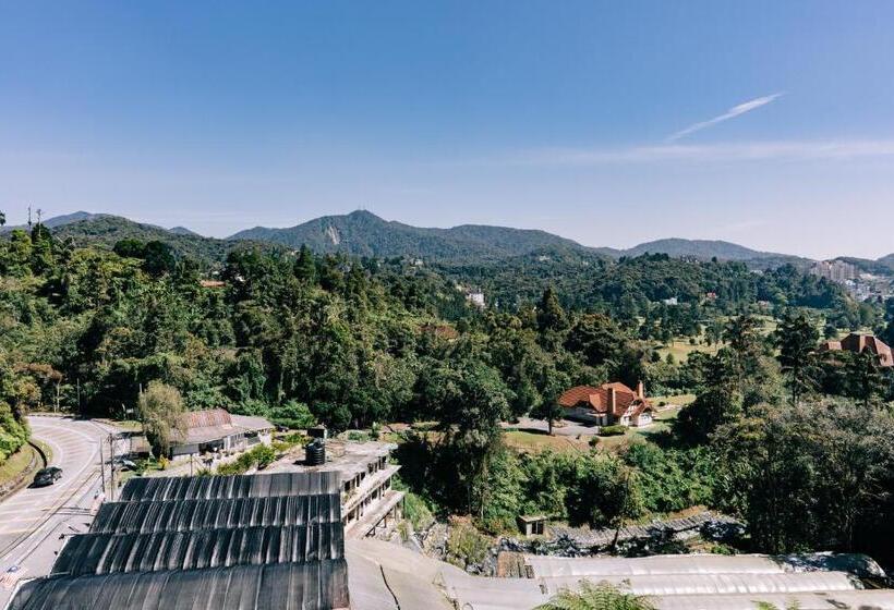 اتاق لوکس چهار تخته, De  La Ferns, Cameron Highlands