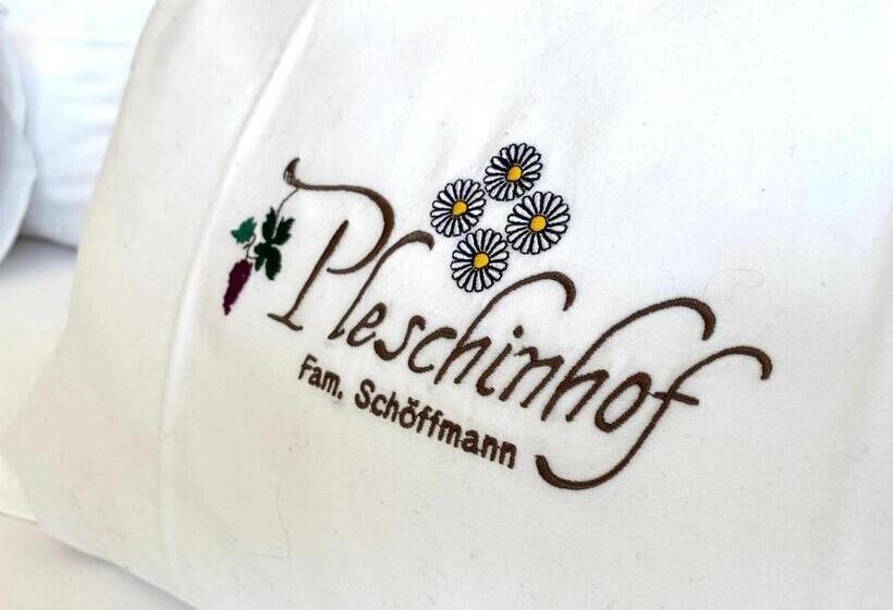 آپارتمان 2 خوابه, Pleschinhof