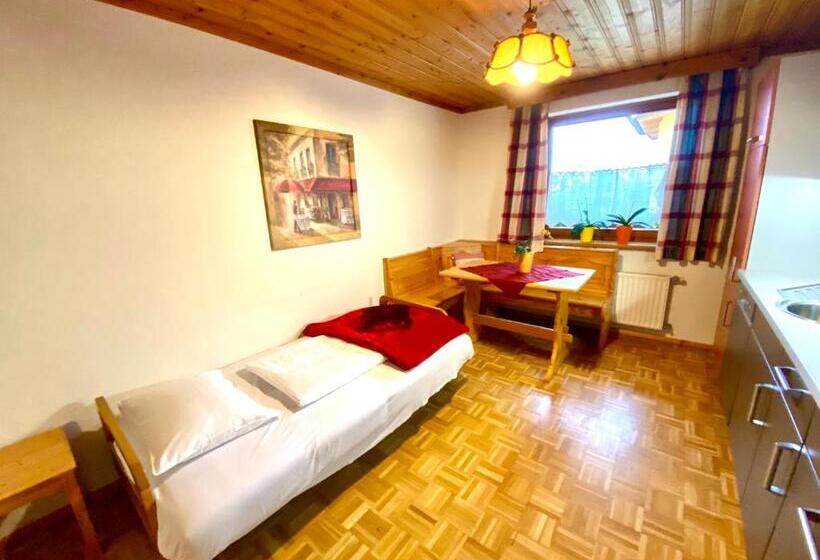 آپارتمان 1 خوابه با تراس, Pleschinhof