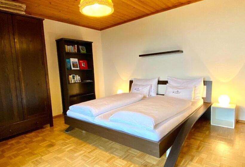 آپارتمان 1 خوابه با تراس, Pleschinhof