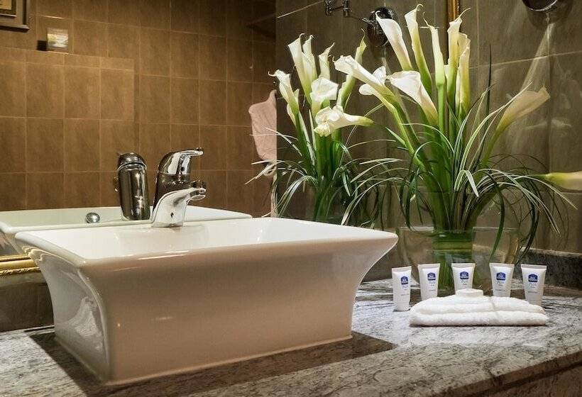 سوییت, Best Western Plus Doha