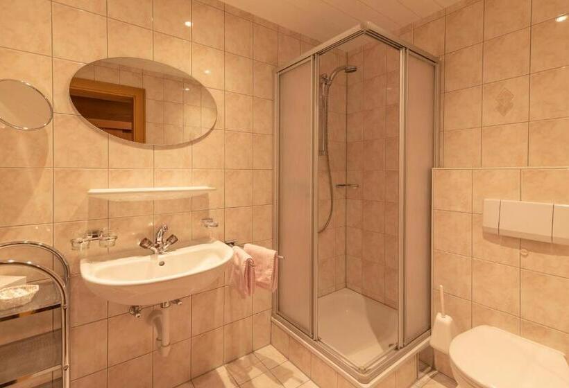 Номер Стандарт с Балконом, Garni Apart Tina