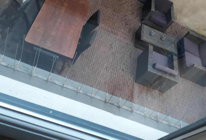 Номер Deluxe, De Zevenster Gevestigd Aan De Winkelstraat