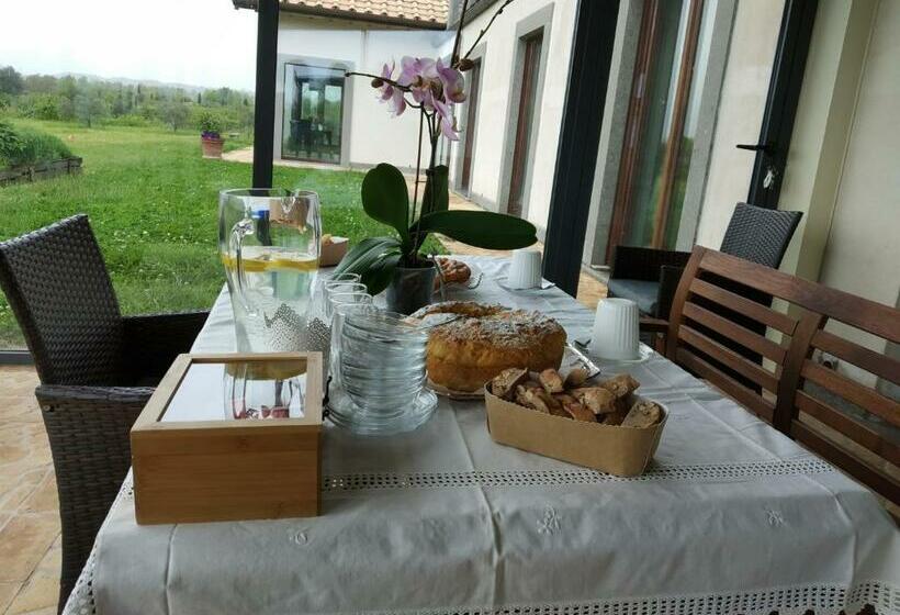 ガーデンビュースタンダードルーム, Azienda Agricola Pian Del Grano