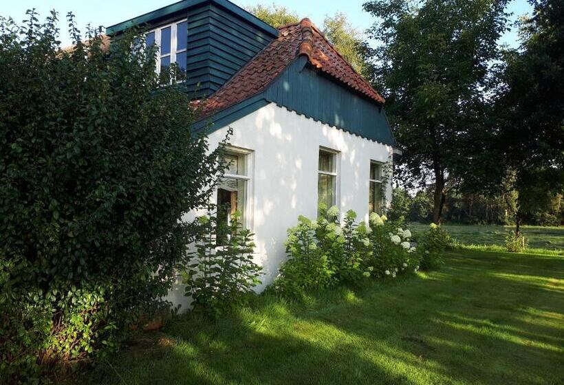 디럭스 룸, Voorhuis