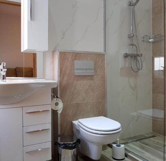 Номер Deluxe Кровать Кинг, 4rooms Central Sibiu