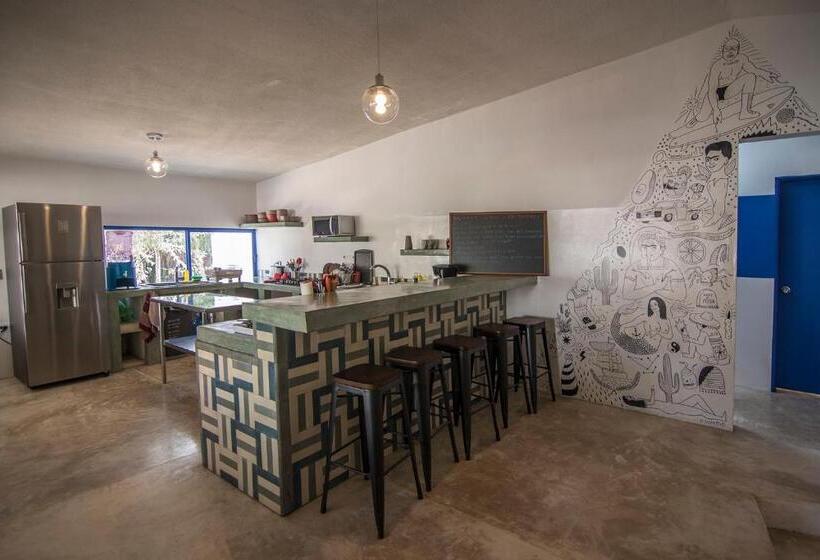 ルームシェアのワンベッド, Todos Santos Hostel Super Fast And Stable Satellite Wifi