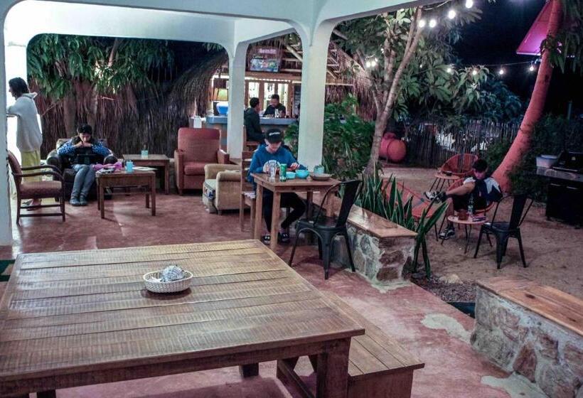 スタンダードトリプルルーム, Todos Santos Hostel Super Fast And Stable Satellite Wifi