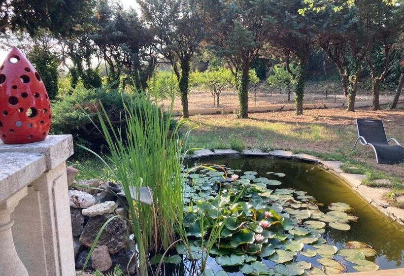 Номер Стандарт Вид на Сад, Le Chêne Et L Eau