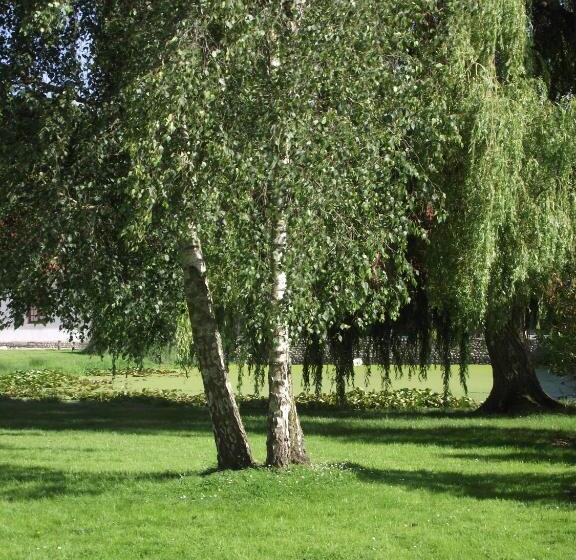 Студия Стандарт, Les Portes Des Froises
