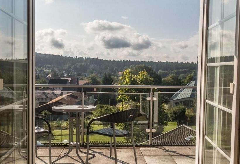 Апартаменты 1 Спальня с Балконом, Haus Waldwiese